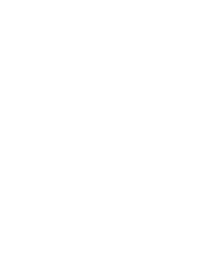 Vector (2)